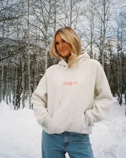 Dandy let’s watch the sunset oversized lux hoodie in Heather gray